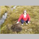Cradle Mountain Wombats.jpg